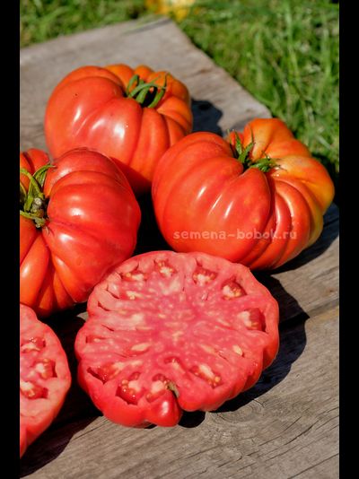 Томат Гигант Фарина, 10 шт