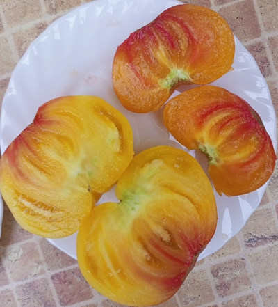 Томат Мэри Робинсон немецкий (Mary Pobinson's German)