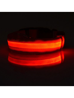 Светящийся ошейник для собаки