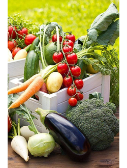 Рассада ОВОЩЕЙ