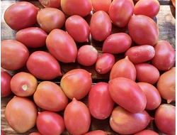 Томат Анастасия Ушакова