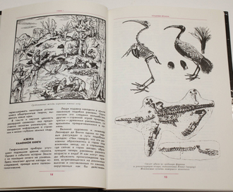 Соколов Б. С., Баландин Р. К. К неведомым глубинам.  М.: Детская литература. 1988г.