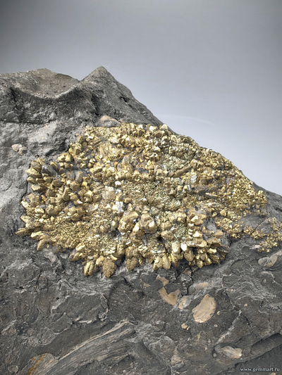 Пирит, плашка на породе, мергелистой глине. Россия.160*120*30мм