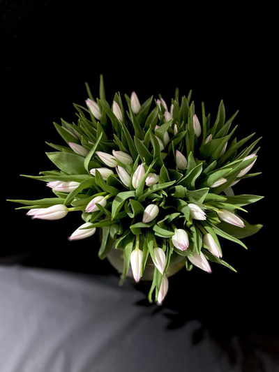 Тюльпаны 51 шт