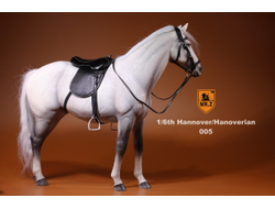Серый конь - Коллекционная фигурка 1/6 Scale German Hanoverian Warmblood Horse Statue - Real Animal Series (No.17) - Mr.Z