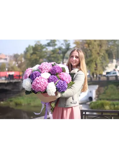 Микс из 19 гортензий