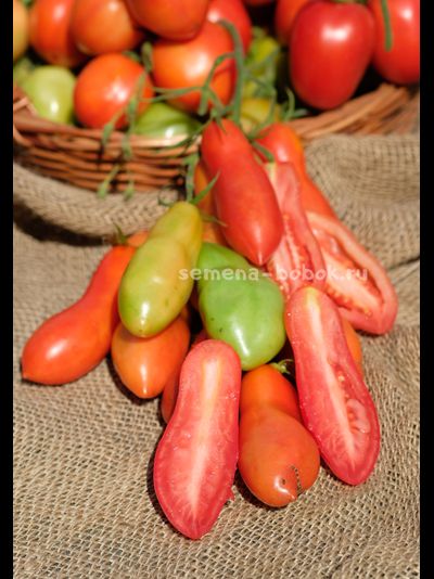 Томат Стрелка, 10 шт