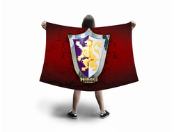 Флаг большой Герои меча и магии, Heroes of Might and Magic №41