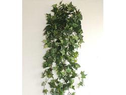 Зелень плюща № Л 001