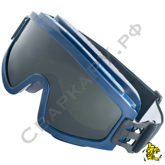 Очки газосварщика/резчика ЗН11 Panorama Strong Glass (5) темно-зеленый поликарбонат с обтюратором