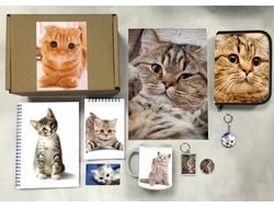 Бокс с котиками №1