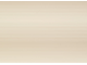 V1006