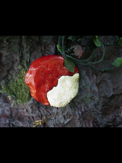 Комплект фэнтези-украшений "Яблочко Белоснежки" (парадное колье и крупные серьги)