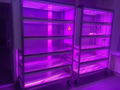 LED 5sheif-fitocontrol