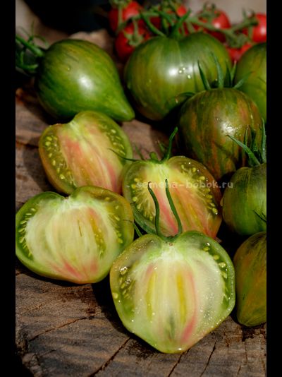 Томат VT-16 триколор, 10 шт