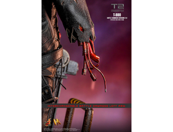 ПРЕДЗАКАЗ - Терминатор Т-800 (Арнольд Шварценеггер, "Терминатор 2: Судный День") - Коллекционная фигурка 1/6 T-800 (Battle Damaged Version 2.0) (DX46) - Hot Toys ?ЦЕНА: 52600 РУБ.?