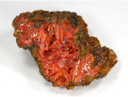 Крокоит, кристаллы на породе, Австралия, Тасмания (56*45*32 мм, 130 г) №28594