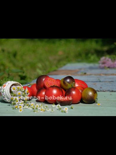 Томат Темная Галактика, 10 шт