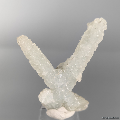 Пренит(?), псевдосталлактит. Индия. 48*36*16мм