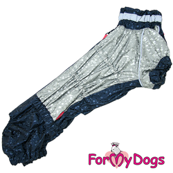 Дождевик капли синий/серебро