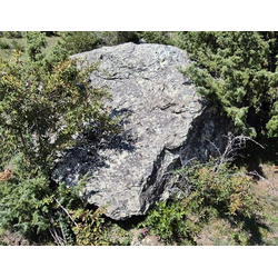 Валун хвойничек ландшафтный 4