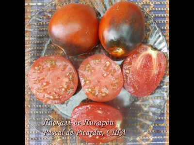 Томат Паскаль из  Пикардии (Pascal de Picardie), США