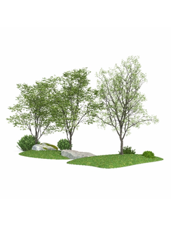 лиственные Деревья с камнями на рельефе 3