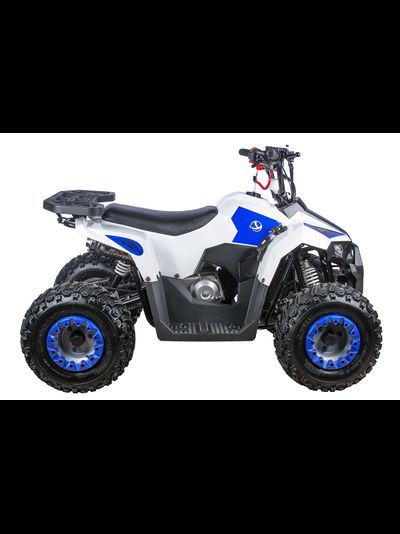 Квадроцикл YACOTA RAPOSA