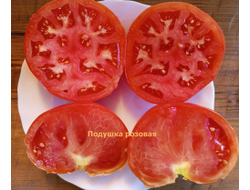 Томат Подушка розовая