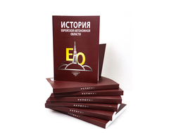 История Еврейской автономной области