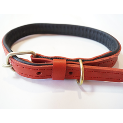 Ошейник 2.5*59см (красно-черный))
