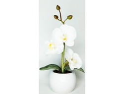 Светильник СТАРТ LED "Орхидея" маленькая декоративный (1xCR2032 нет в компл) ткань, белый 23.5x8