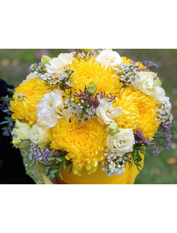 Любимому учителю