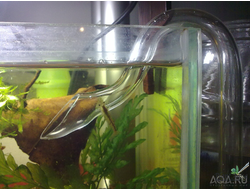 Трубка акриловая D13 мм , 50 см