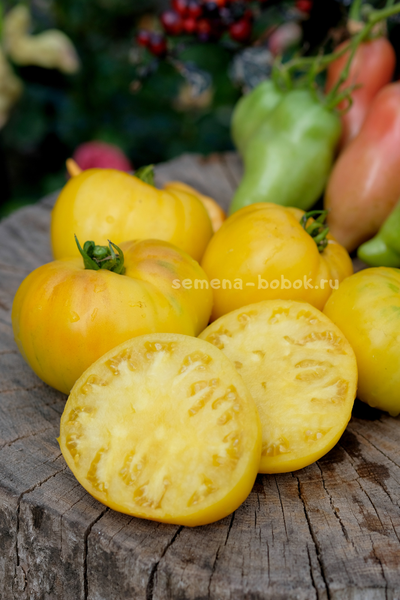 Томат Манго Минусинское, 10 шт