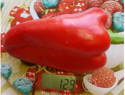 Перец сладкий Горос