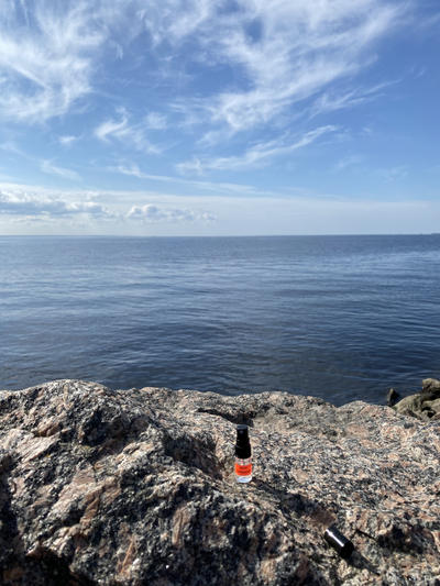 Духи НОТА: БРУТАЛЬНАЯ 2,5 мл