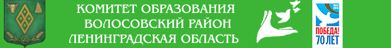 Эл школа ленобласти. Комитет образования Волосово. Комитет по образованию Волосовского района.