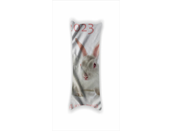 Дакимакура год Кролика №10