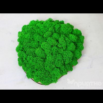 ЖИВАЯ ЭКО-КАРТИНА 1040