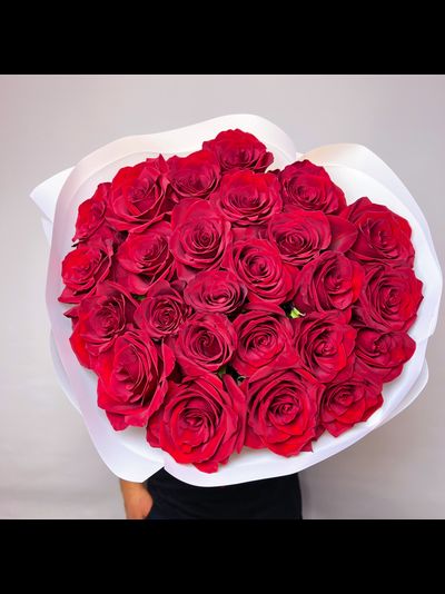 Букет красных роз Эквадор премиум 25 шт