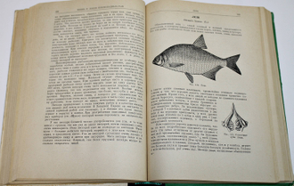 Сабанеев Л.П. Жизнь и ловля пресноводных рыб. Киев: Урожай. 1970г.