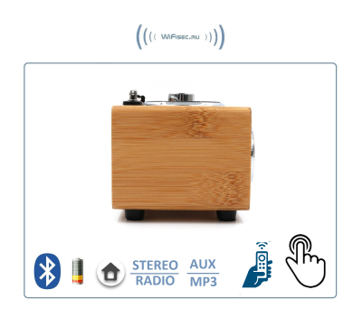 Bluetooth колонка СТЕРЕО, радио FM, с аккумулятором + пульт, для использования в помещении