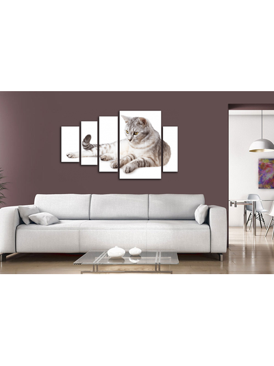 Модульная картина &quot;Наблюдение&quot;