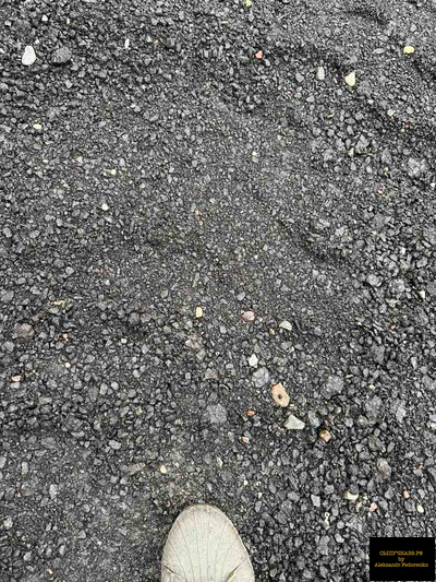 асфальтовая крошка