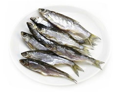 Уклея Цимлянская