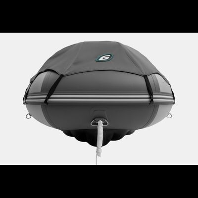 Моторная лодка GLADIATOR E350PRO светло-темносерый