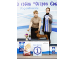 NORDEN LIHT SUPER STAR (KS)