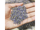 Лаванда горная (Lavandula angustifolia), Кашмир (30 мл) - 100% натуральное эфирное масло