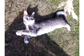 Максимов А Р "Жизнь хороша"